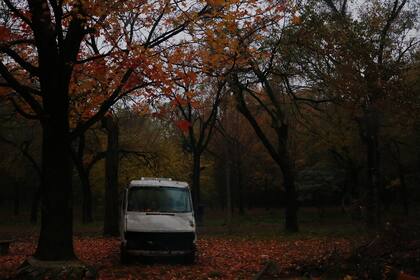 Para hallar objetos improbables como esta camioneta derruida la artista debía adentrarse en el bosque. "Una vez me pasó que sentí un ruido y me dio mucho miedo y me puse mal, me dio una especie de ataque de ansiedad. Entonces llamé a una amiga para que me hablara hasta que yo saliera de allí.", recuerda Tamara.