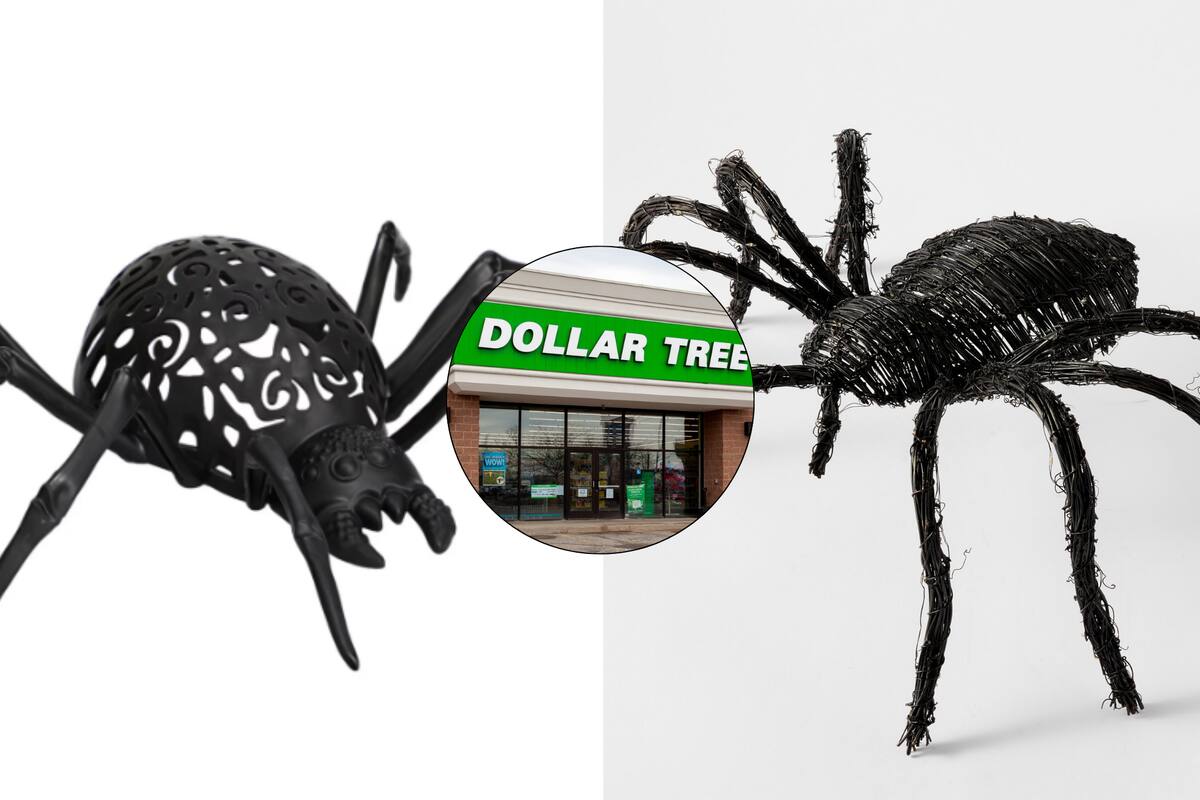 Para Halloween, Dollar Tree vende arañas de plástico a US$1,25; las de diseño superan los US$80