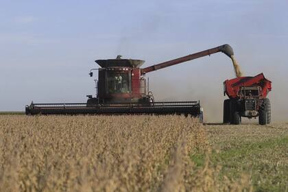 Para Idígoras, el ingreso de divisas de julio ha sido muy similar a junio, “ya que se mantiene un flujo de exportaciones caracterizadas por ser una campaña agrícola normal sin movimientos bruscos”