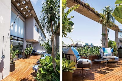 Para iluminar el sillón, Ezequiel mandó a hacer una lámpara al estilo de Jean Prouvé. Por su parte, los círculos calados en el techo de hormigón se disfrutan reflejados en el piso o la ventana.