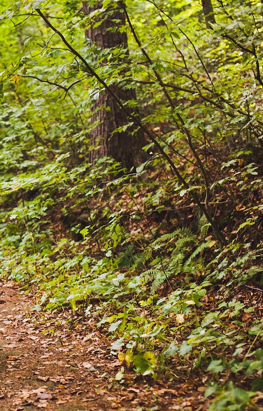 Para inducir el sueño se recomiendan actividades aeróbicas moderadas, como caminar, trotar o andar en bici
