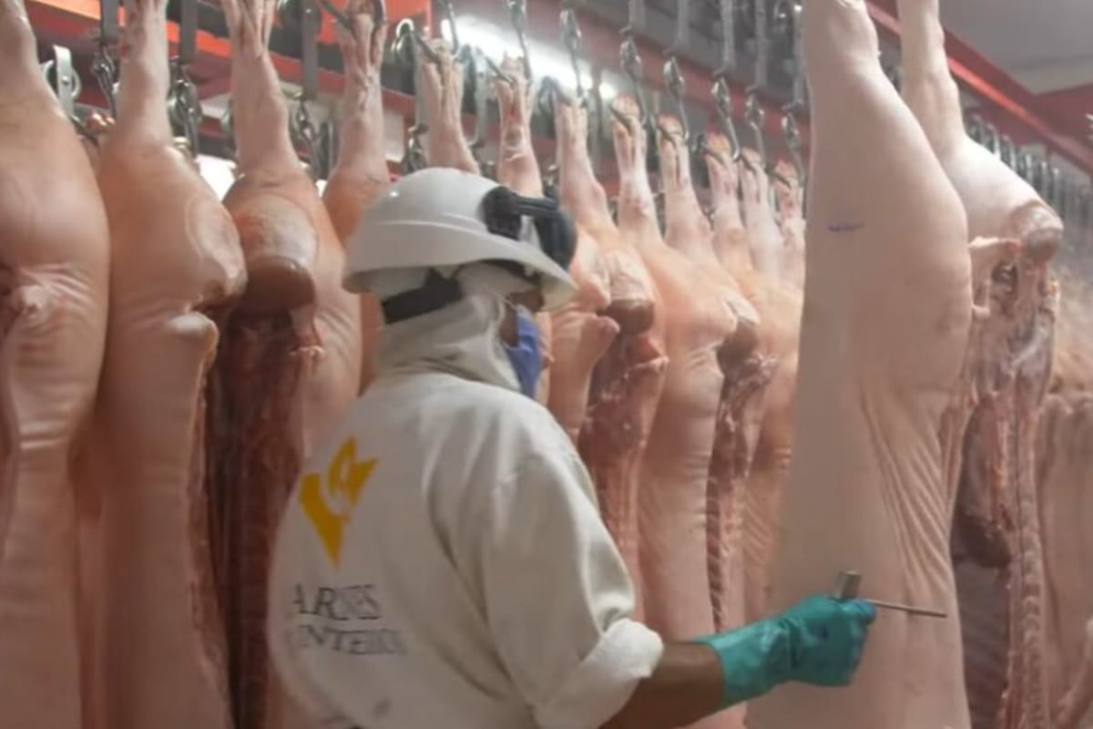 Para Juan Lagrutta, gerente general de Rafaela Alimentos y nieto del fundador del frigorífico rafaelino, "la apuesta con la planta de Carnes del Interior es faenar y despostar cerdos, creciendo en faena para abastecerse de esa pulpa y no depender de terceros”