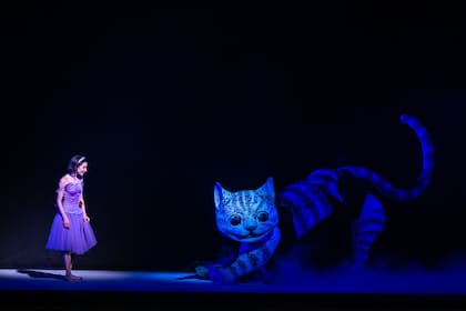 Para la concepción del Gato de Cheshire, que aparece y desaparece, la producción acudió a la técnica del teatro negro