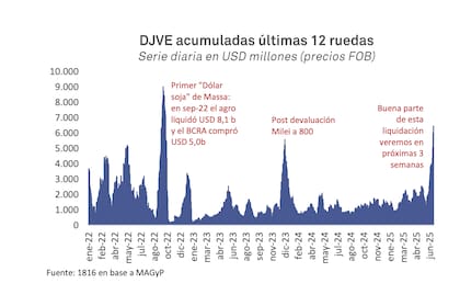 Para la consultora 1816, el agro debería liquidar alrededor de US$4550 millones en las primeras tres semanas de julio, que es la diferencia entre los US$8150 millones y los US$3700 millones liquidados en junio