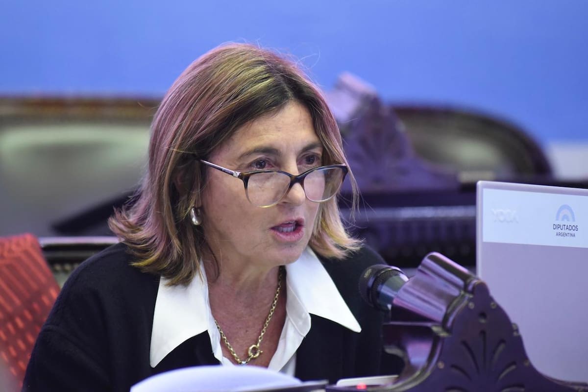 Para la diputada Alicia Fregonese, los dichos de Todesca sobre un posible aumento de retenciones "no hacen más que espantar a todo aquel que quiera invertir en el país"