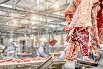 Para la industria, se puede exportar más y crear más empleo con la carne