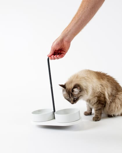 Para la musa Choupette se diseñó vajilla de porcelana, mobiliario recreativo y sets de equipaje