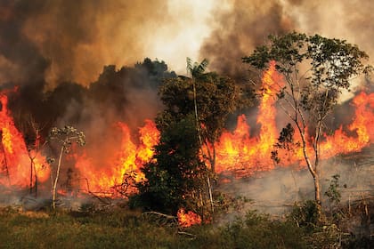 Para la primavera, unos 80.000 incendios en el sur de la selva amazónica forman un enorme río aéreo de humo y cenizas
