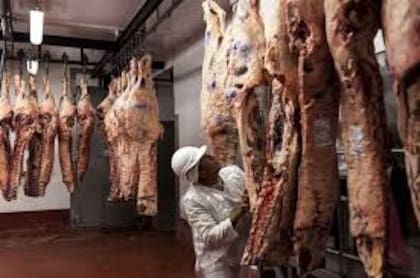 El Senasa actualizó los procedimientos a la nueva situación