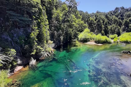 Para León, caminar por un sendero, respirar aire puro, contemplar un lago o simplemente detenerse unos minutos en un bosque dejó de ser un lujo para convertirse en parte de su manera de vivir. (Río Ruca Malen)