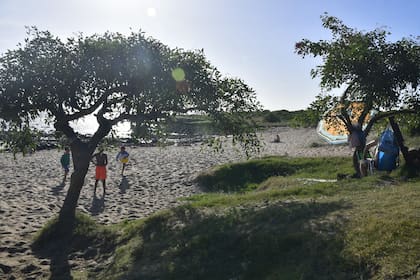 Para llegar a las playas no hay colectivos desde el centro