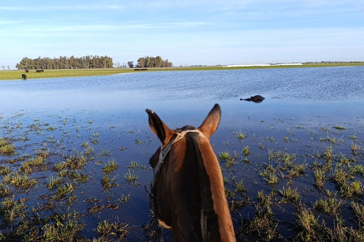 Para llegar al campo tiene que hacer tres tramos en camioneta, a caballo y cuando puede en una lancha de un proveedor