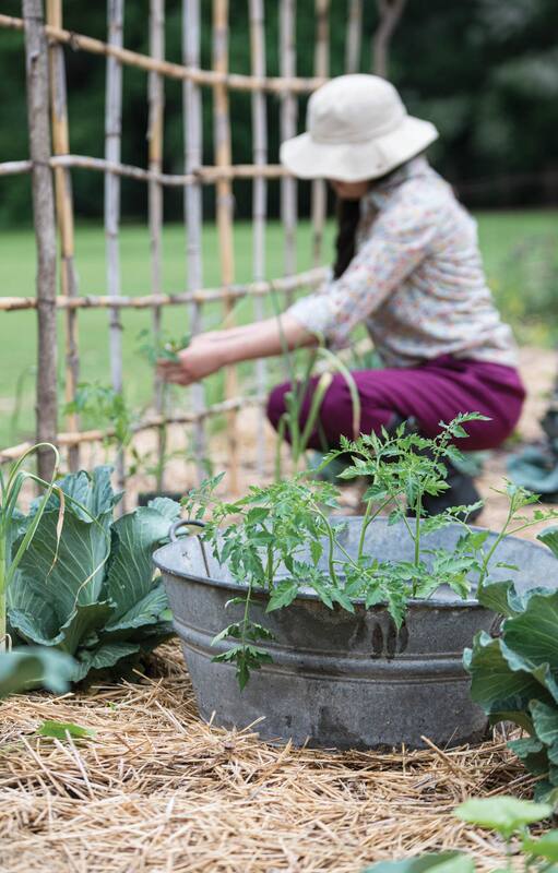 Para los amantes de las plantas hay una oferta variada de propuestas que permiten ampliar los conocimientos.