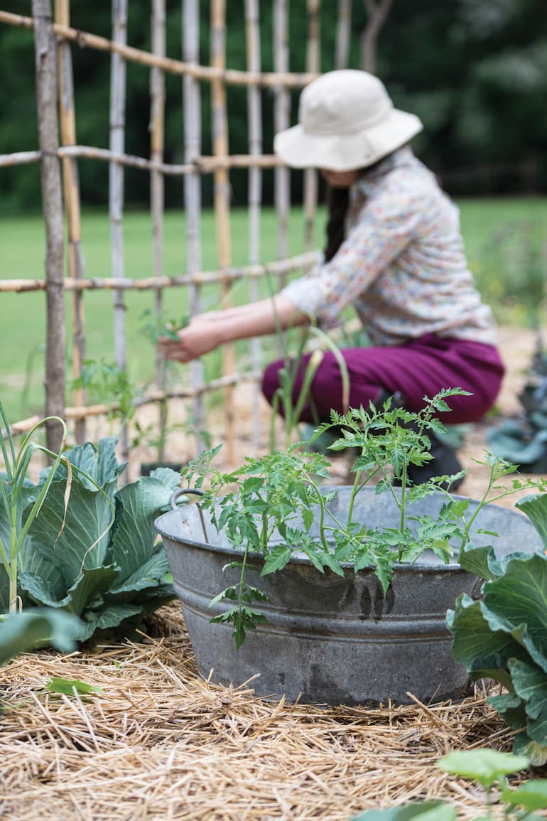 Para los amantes de las plantas hay una oferta variada de propuestas que permiten ampliar los conocimientos.