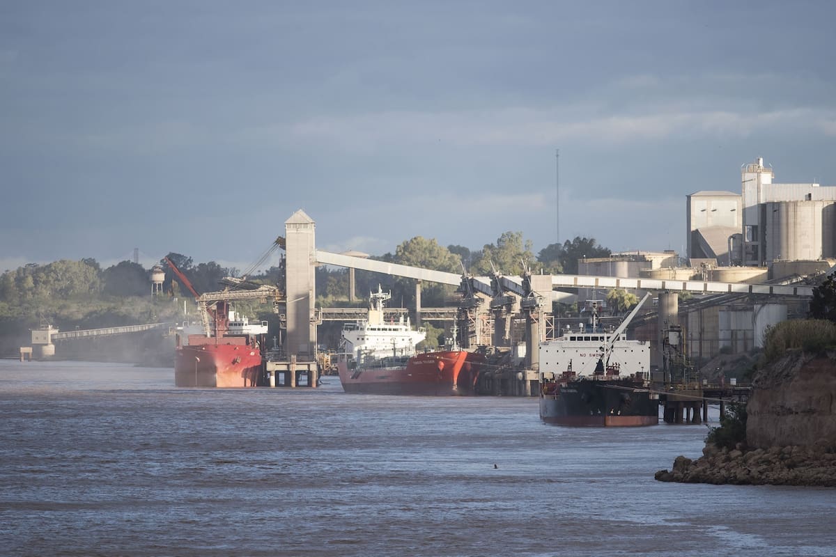 Para los expertos, el sector ya es competitivo y no necesita un "caso testigo"