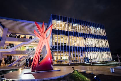 Para los expertos en educación, es ineludible la "alfabetización informática" en el futuro cercano