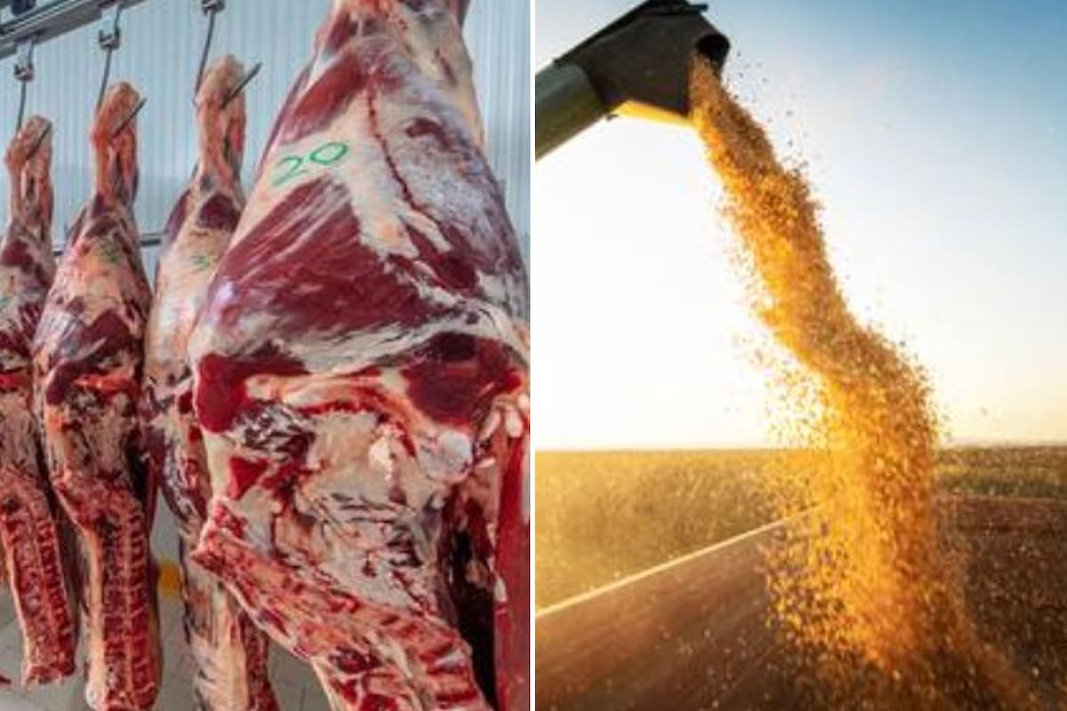 Para los expertos, no peligra el mercado de exportaciones de carne y granos a la región de Medio Oriente