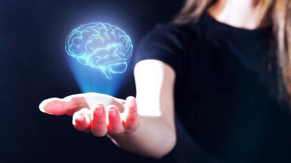 Para los fisicalistas, la conciencia tiene que ver con el cerebro