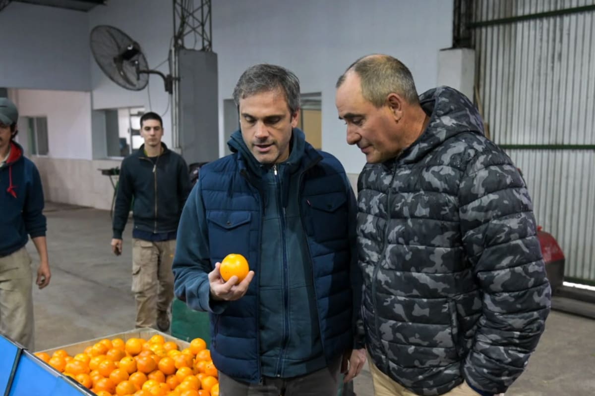Para los legisladores, la posibilidad de ingresar a ese mercado tendría particular relevancia para las economías regionales y, especialmente, para la producción citrícola entrerriana