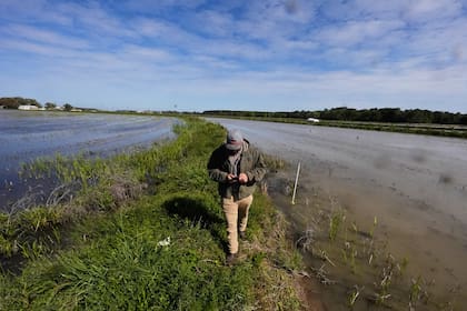 Para los pescadores, en Luisiana la temporada de mayor riesgo se extiende de mayo a octubre, cuando las temperaturas del agua favorecen la proliferación de la bacteria