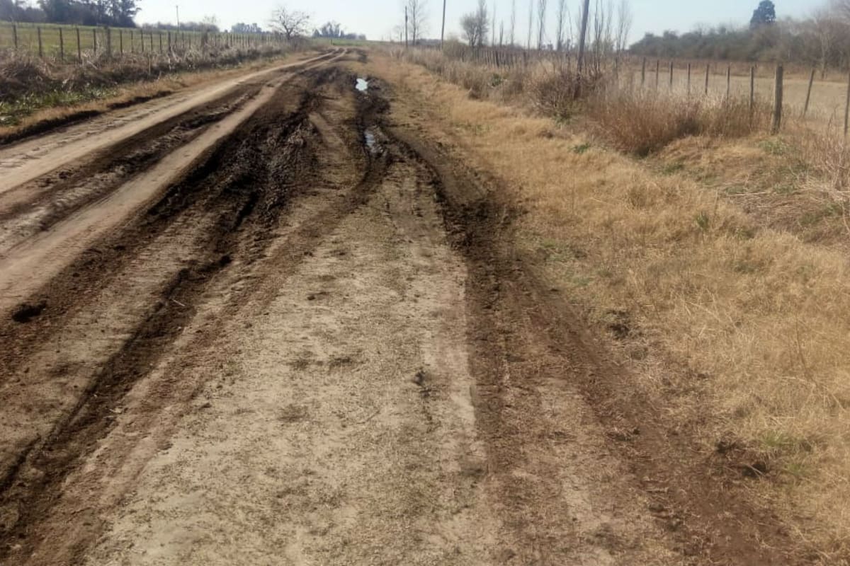 Para los productores de la zona, no hay recursos suficientes para el mantenimiento