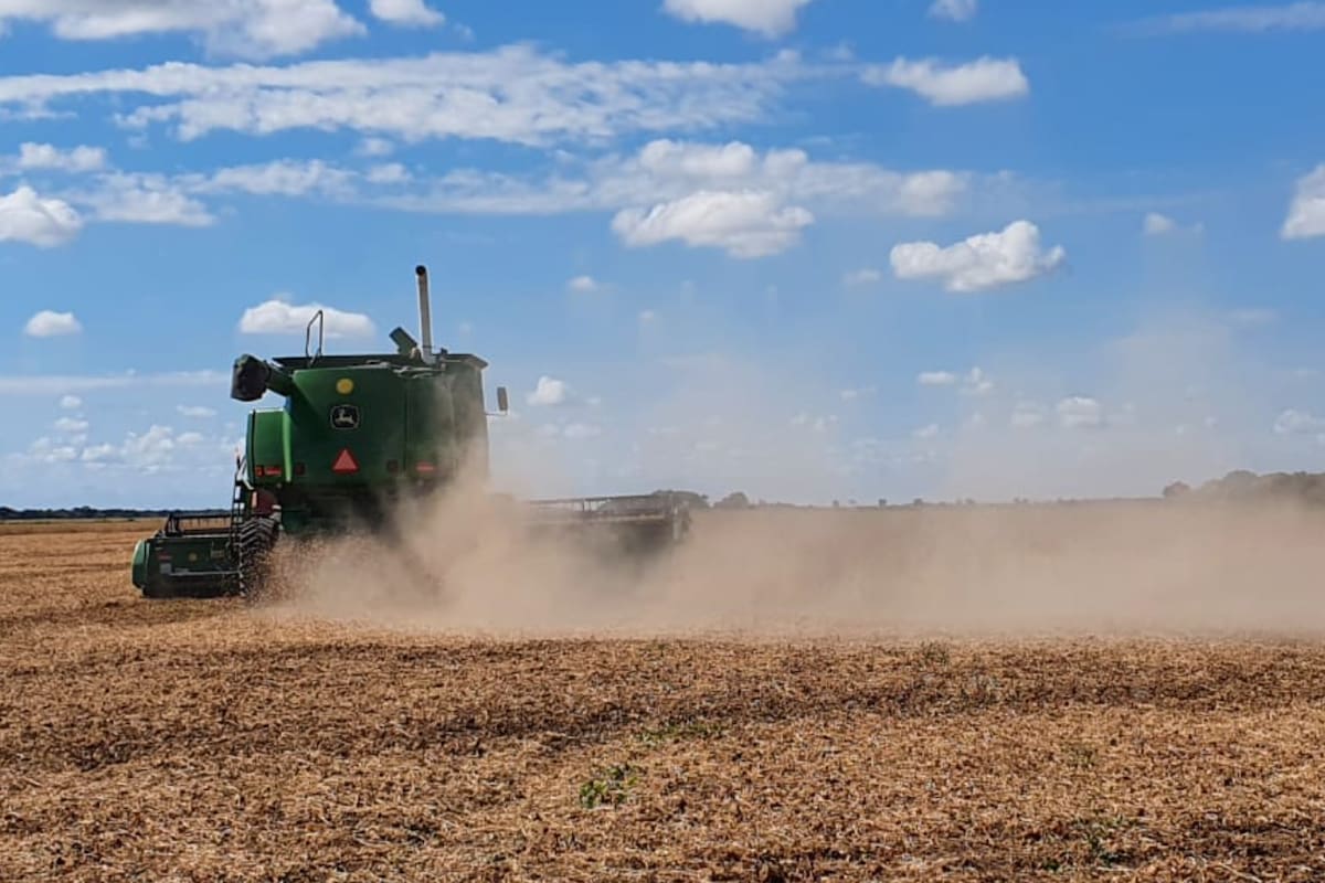 Para los productores, la escasez de gasoil genera incertidumbre en cuanto a la posibilidad de cumplir con la cosecha. Foto Apronor