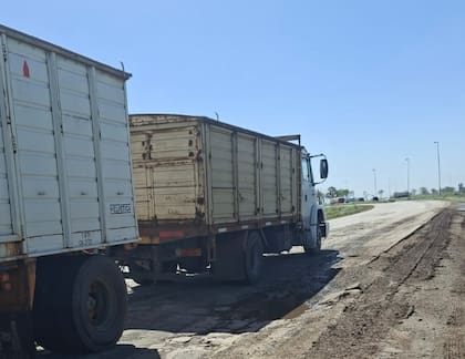Para los productores, la obra tiene una importancia que excede a Colón: se trata de mejorar una vía utilizada para movilizar la producción hacia Rosario y reducir las dificultades que enfrentan los camiones cerealeros