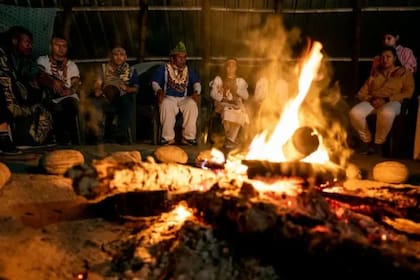 Para los pueblos indígenas, determinadas sustancias consideradas drogas por la sociedad occidental son parte esencial de sus costumbres y tradiciones