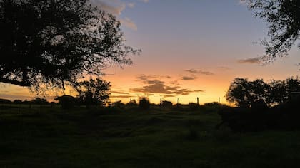 Para Madero, ese dinamismo se refleja en la actitud de los inversores, que hoy “salen a recorrer campos, comparar y buscar alternativas que se ajusten a sus proyectos”