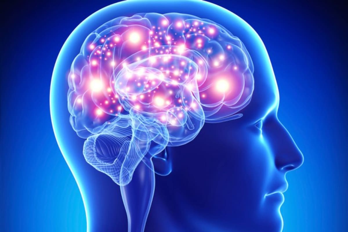 Para mantener un cerebro joven es clave adoptar hábitos saludables y estar atentos a signos de deterioro