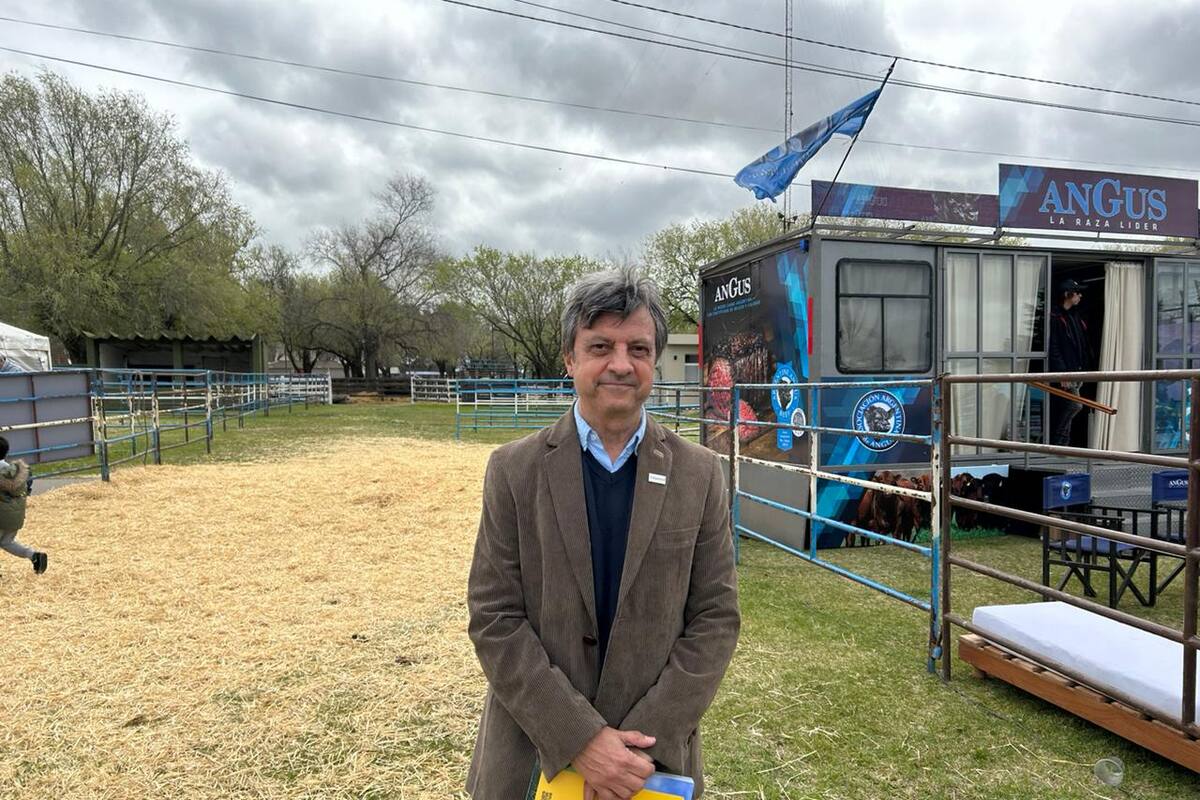 Para Marcelo Torres, productor y presidente de Aapresid, son momentos donde los productores, sin precipitarse, esperarán el momento oportuno, la ocasión, como estrategia para invertir