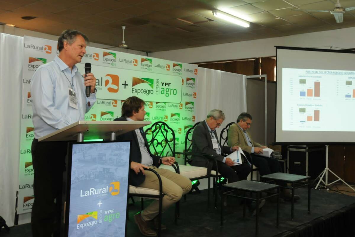 Para Marcos Pereda, coordinador de la Mesa Foresto-Industrial, el sector puede generar 350.000 empleos