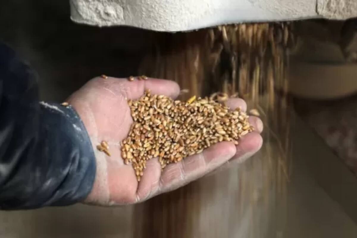 "Para mí, no se trata de si estamos yendo hacia una crisis alimentaria mundial, sino de cuán grande será la crisis", advirtió Svein Tore Holsether, el jefe de Yara International