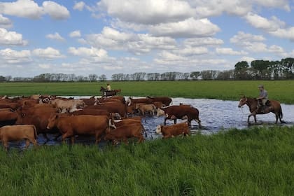 Para Mondino, “es crucial establecer una clara distinción: la administración oportuna de una adecuada dosis de vacuna, junto con una nutrición apropiada, produce un resultado específico”