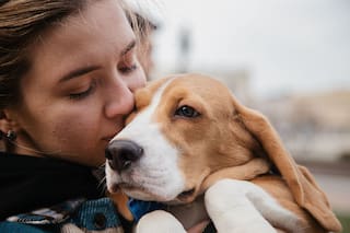 De acuerdo a un estudio, sorprenden los resultados al preguntar si salvarías primero a tu mascota o a otro ser humano