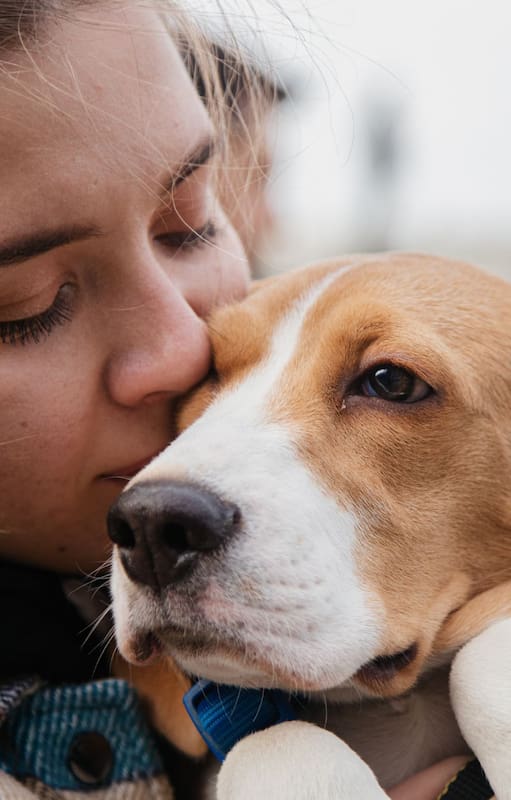 Para muchos, su perro no es un animal: es familia, compañía y refugio emocional.