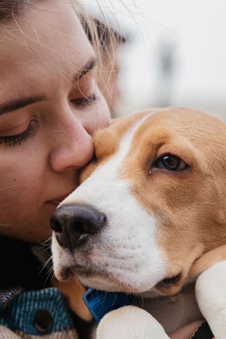 Para muchos, su perro no es un animal: es familia, compañía y refugio emocional.