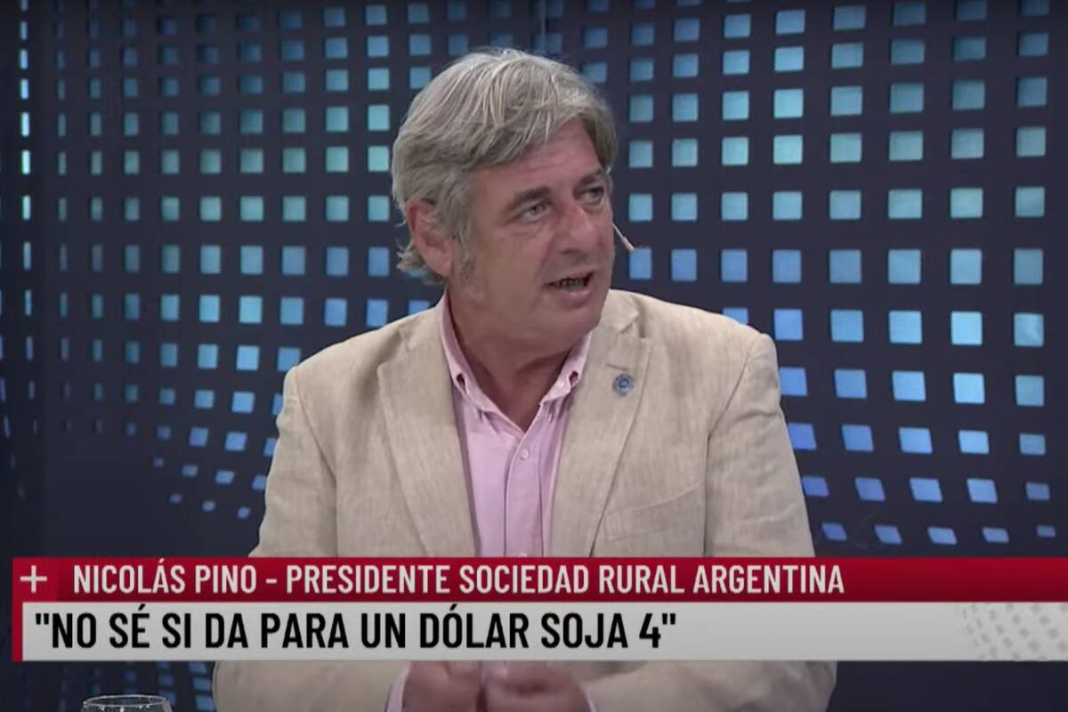 Para Nicolás Pino, presidente de la Rural, "un nuevo dólar soja a $300, con el blue a $500 suena a poco"