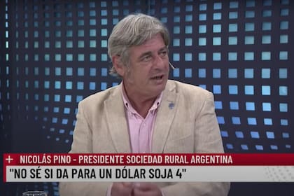 Para Nicolás Pino, presidente de la Rural, "un nuevo dólar soja a $300, con el blue a $500 suena a poco"
