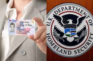 Licencia de conducir: qué pasa si el DHS no confirma a tiempo el estatus migratorio