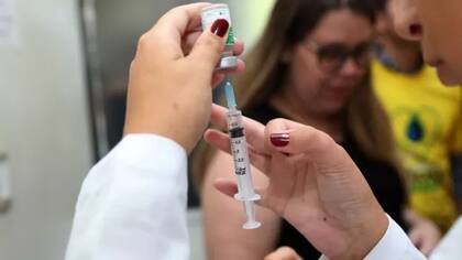 Para poder adelantar las cepas que predominarán cada temporada, es necesario que el virus se estabilice.