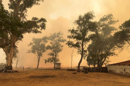 Para prevenir y controlar la zona, los productores organizan patrullajes diurnos y nocturnos por las rutas y los caminos rurales
