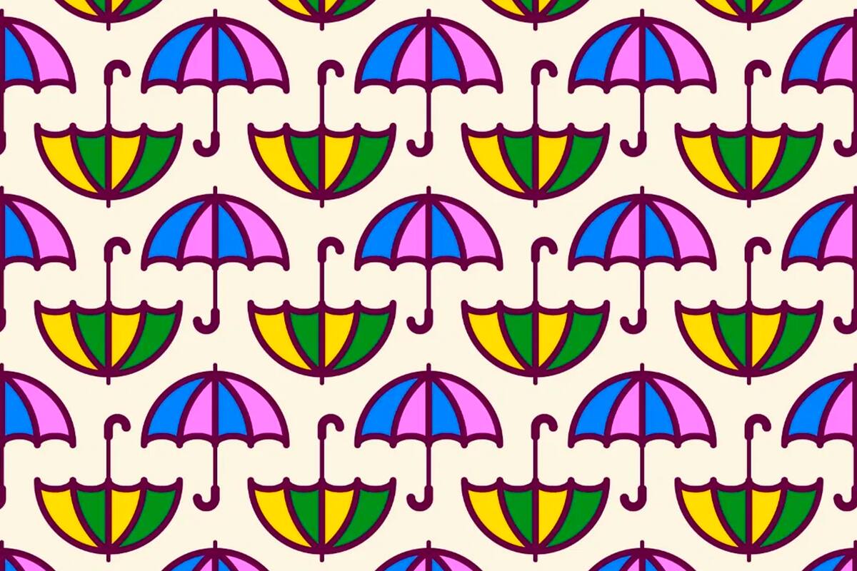 Para que el diseño de los paraguas no te confunda deberás prestar atención a los más mínimos detalles