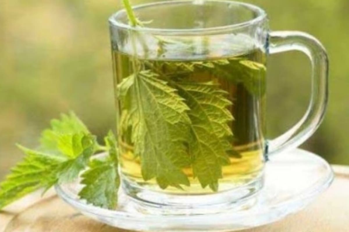 Para que el té pueda cumplir su función, las hierbas deben estar frescas