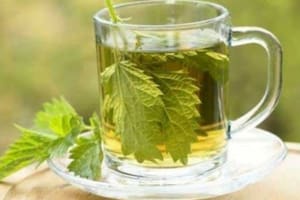 Para que el té pueda cumplir su función, las hierbas deben estar frescas