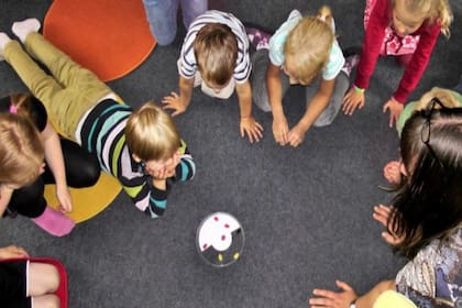 Para que los menores y también los adultos puedan tener tranquilidad y evitar caer en situaciones de estrés, es fundamental que cada colegio pueda establecer herramientas de comunicación para generar un ida y vuelta para que tanto chicos como grandes puedan despejar sus dudas,