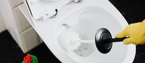 Expertos en limpieza del hogar explican por qué hay que tirar sal en el inodoro y cada cuánto hacerlo