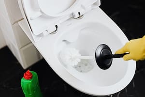 Expertos en limpieza del hogar explican por qué hay que tirar sal en el inodoro y cada cuánto hacerlo