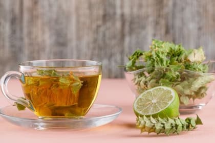 Para qué sirve la infusión de cedrón