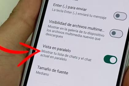 Para qué sirve la nueva función de WhatsApp: Vista en paralelo